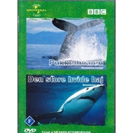 Pukkelhvalen og den store hvide haj (DVD)